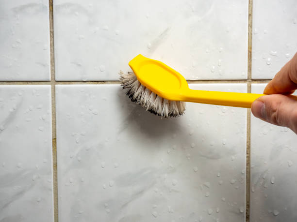  Morgan, UT Mold Removal Pros