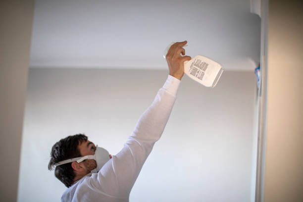 Best Mold Removal Specialists  in Morgan, UT