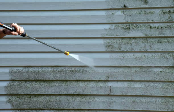 Attic Mold Removal in Morgan, UT