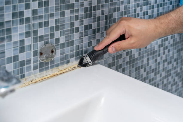 Best Black Mold Removal  in Morgan, UT
